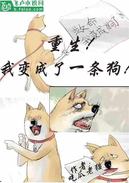 吃瓜遭遇小说在线阅读,一场小说世界的奇幻之旅